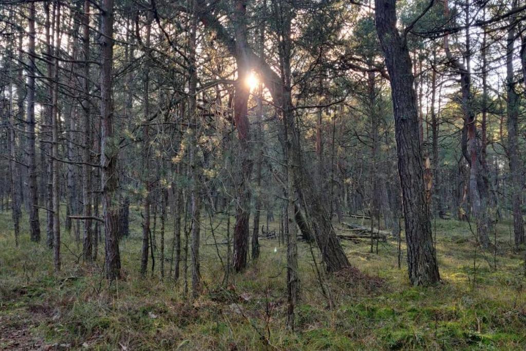Your Private Hytte Смолдзино Экстерьер фото